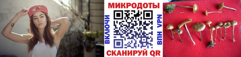 хочу наркоту Новопавловск Галлюциногенные грибы Magic Shrooms